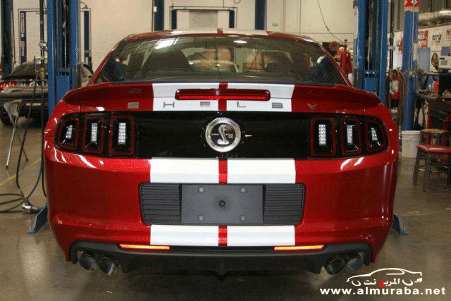 بدأ صنع وإنتاج موستنج شلبي جي تي 500 سوبر سنايك 2013 بالصور Ford Shelby GT500 15