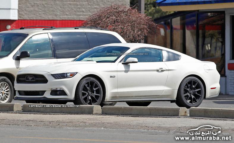 2015-ford-mustang-50th-anniversary-edition-spy-photo-photo-582734-s-787x481