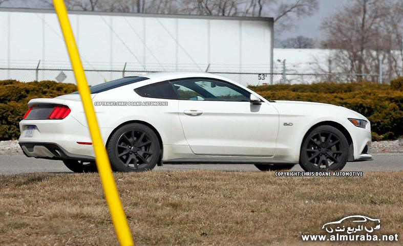 2015-ford-mustang-50th-anniversary-edition-spy-photo-photo-582735-s-787x481