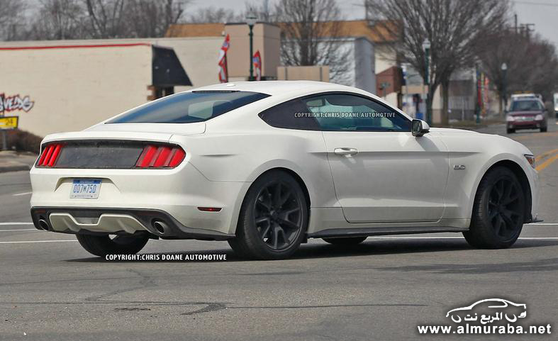 2015-ford-mustang-50th-anniversary-edition-spy-photo-photo-582736-s-787x481
