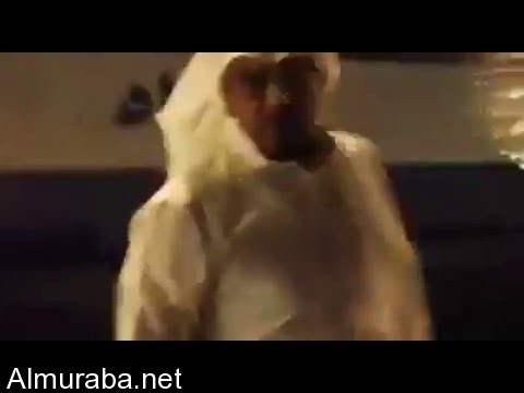 “بالفيديو” خليجي يعتدي على شاب مصري ويهشم زجاج سيارته