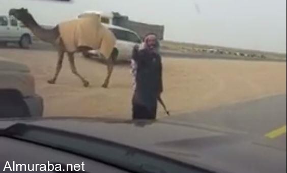 “فيديو” صاحب إبل يوقف السيارات بالرشاش لتعبر أبله على طريق حفر الباطن والكويت