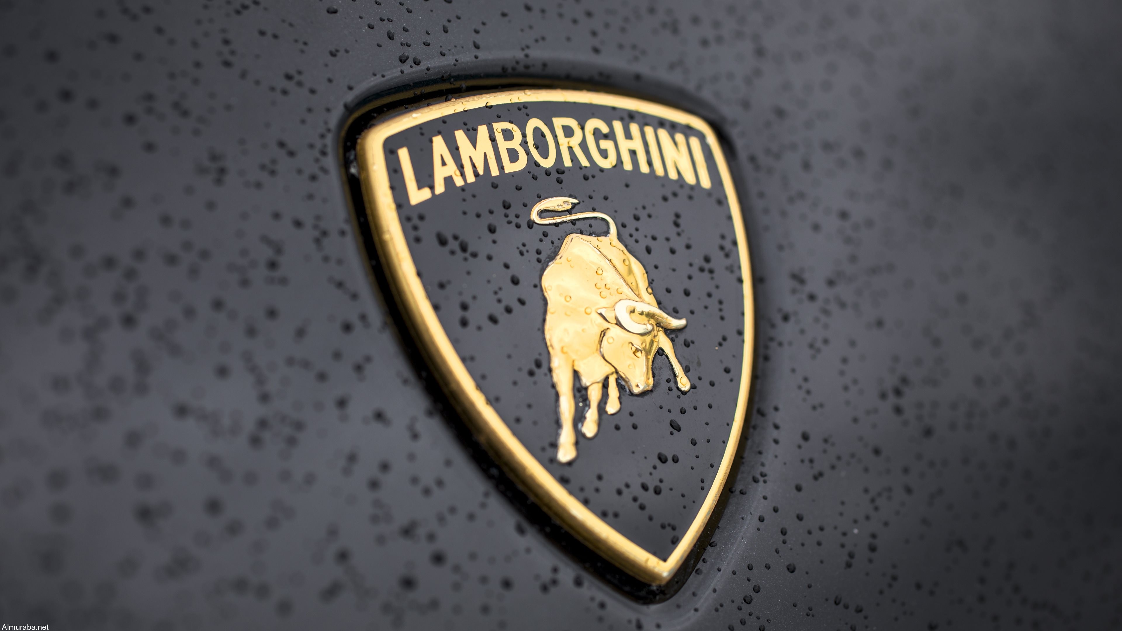 "صور تجسسية" لسيارة لامبورجيني هوراكان القادمة Lamborghini 1