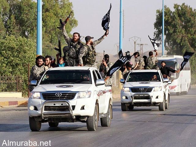 القوات الخاصة الأمريكية ستقود قريبا نفس شاحنات وسيارات تويوتا التي تقودها داعش 1