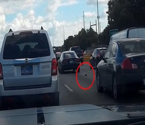 ”فيديو” شاهد أمريكي يتسبب فى توقف حركة المرور على أحد الطرق السريعة بولاية “تكساس”