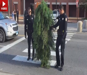 “فيديو” شاهد رجل بلباس شجرة يعرقل المرور في شوارع بورتلاند الأمريكية