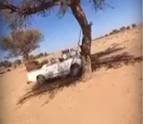 "فيديو" شاهد عجز سيارة عن اجتثات شجرة أبدت مقاومة نادرة 1