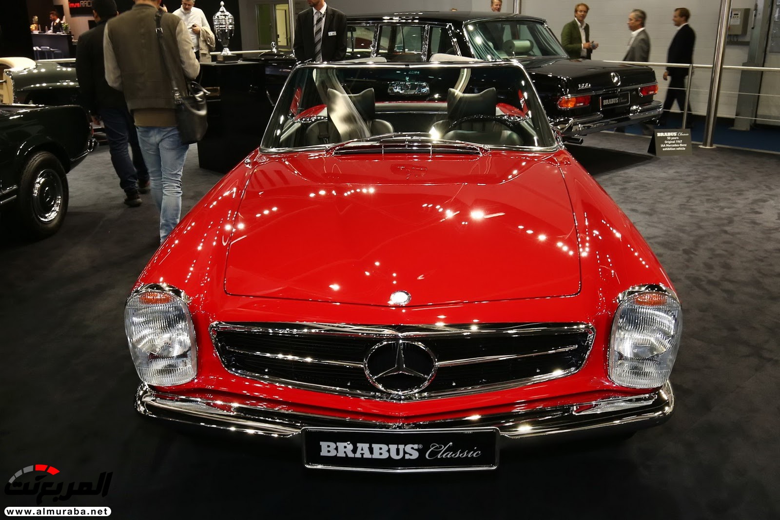 برابوس لديها أغلى السيارات في معرض فرانكفورت 69