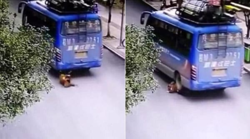 “بالفيديو” شاهد طفل صيني تدهسه حافلة أمام مدرسته وينهض سليماً