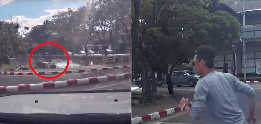 “بالفيديو” شاهد سائق بيك اب يفقد السيطرة ويسقط في بركة