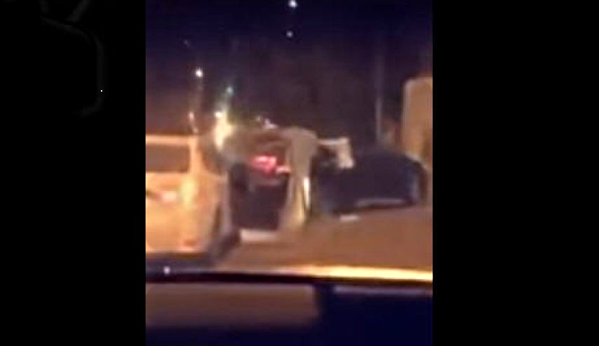 "بالفيديو" شاهد لصوص يستولون على سيارة من “سائق” في طريق عام بالرياض 3