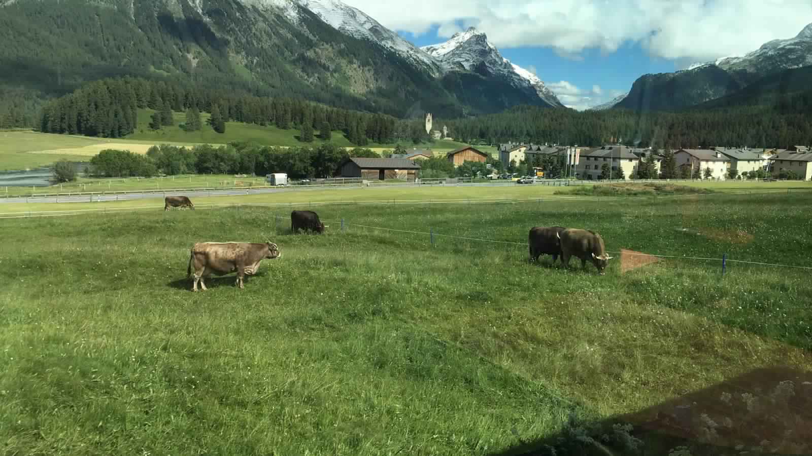 "بالصور" جولة مع قطار جلاسير إكسبريس عبر جبال اﻷلب السويسرية 5