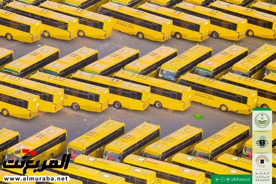 "بالصور" حافلات نقل الحجاج رسمت لوحة فنية متناسقة 3