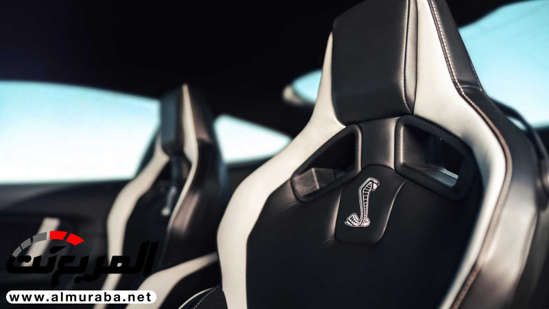"152 صورة" فورد تكشف عن شيلبي موستنج GT500 2020 الجديدة كلياً 71