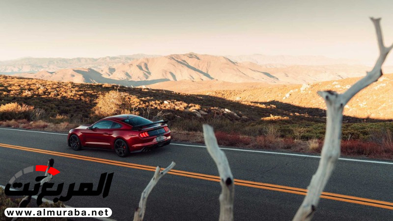 "152 صورة" فورد تكشف عن شيلبي موستنج GT500 2020 الجديدة كلياً 80