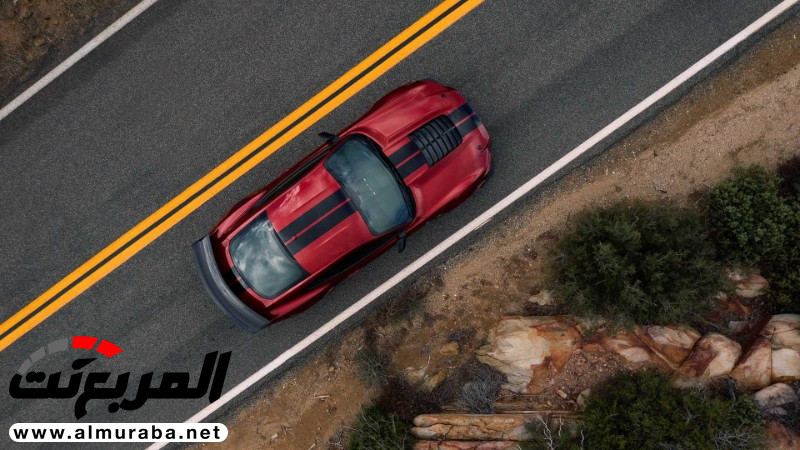 "152 صورة" فورد تكشف عن شيلبي موستنج GT500 2020 الجديدة كلياً 44