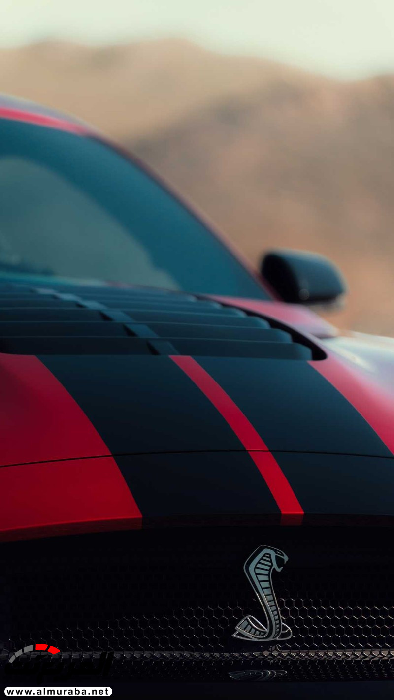 "152 صورة" فورد تكشف عن شيلبي موستنج GT500 2020 الجديدة كلياً 140