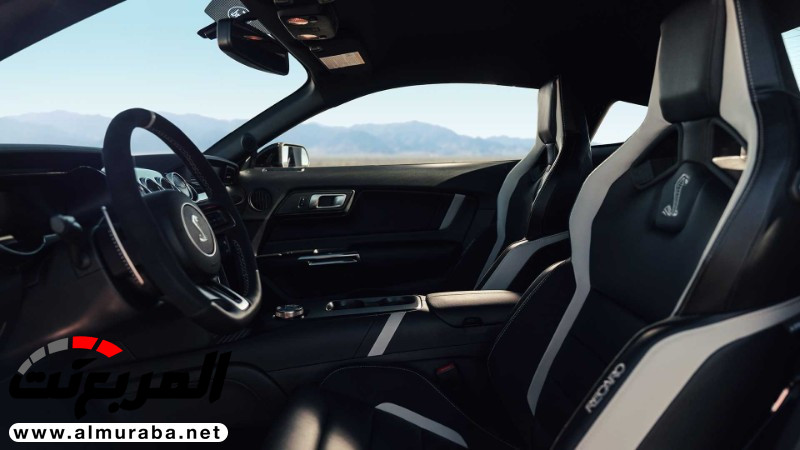 "152 صورة" فورد تكشف عن شيلبي موستنج GT500 2020 الجديدة كلياً 445