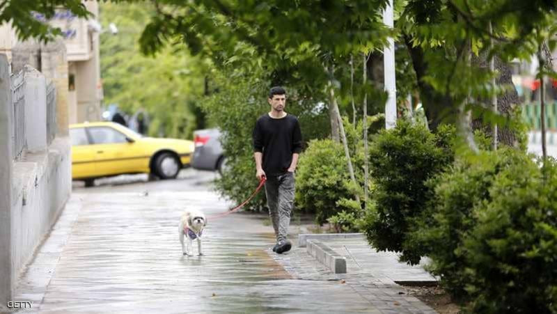 قرار إيراني يمنع ركوب "الكلاب" في السيارات 3
