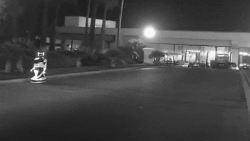 "بالفيديو" سيارة تيسلا ذاتية القيادة تقتل رجل آلي! 7