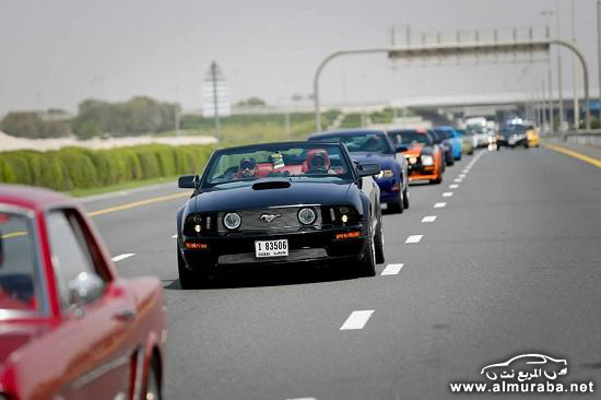 Ford-Mustang-50th-13